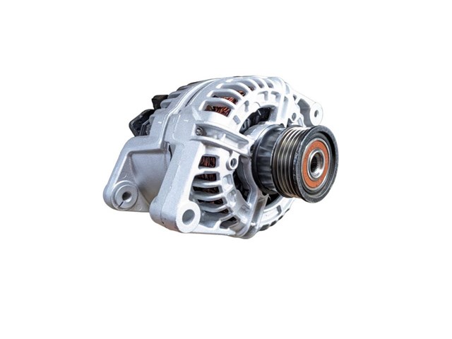 Do koszyka 0124515021 MSG Rebuilding Alternator