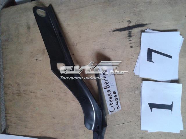 Do koszyka 9680631480 Peugeot/Citroen 
