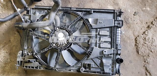 Dyfuzor chłodnicy, w komplecie z silnikiem i wirnikiem Peugeot/Citroen 9805897480 cena, od 146,42 USD