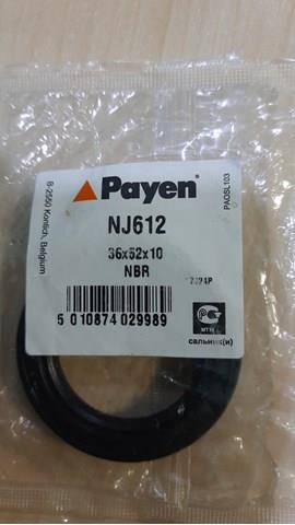 NJ612 Payen Uszczelniacz automatycznej/mechanicznej skrzyni biegów (wału głównego)