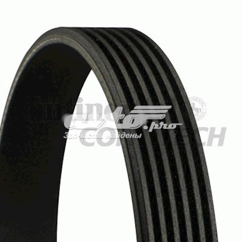 Do koszyka 6PK869 Continental/Siemens Pas napędowy mechanizmów