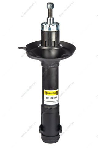  Raiso RS170381
