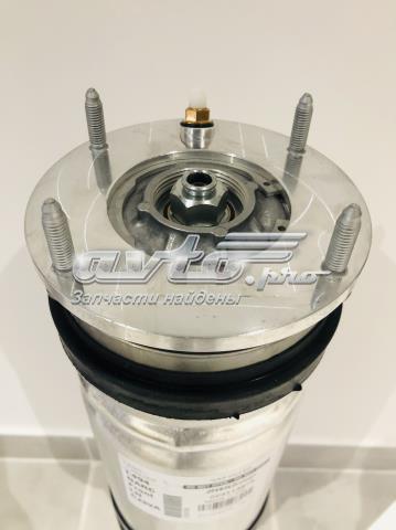 Amortyzator przedni lewy Land Rover LR087095 cena, od 643,92 USD