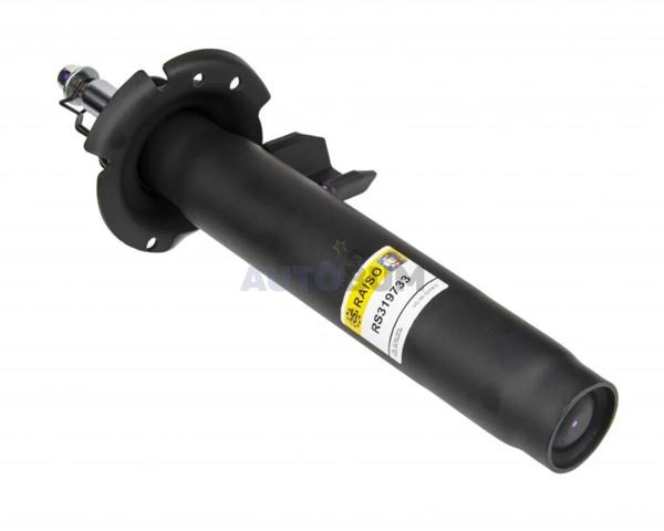RS319733 Raiso Amortyzator przedni