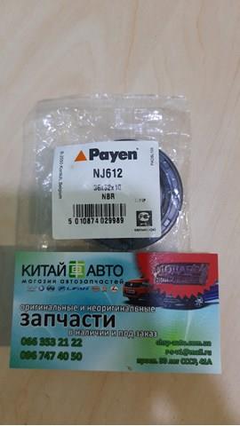 Uszczelniacz automatycznej/mechanicznej skrzyni biegów (wału głównego) NJ612 Payen