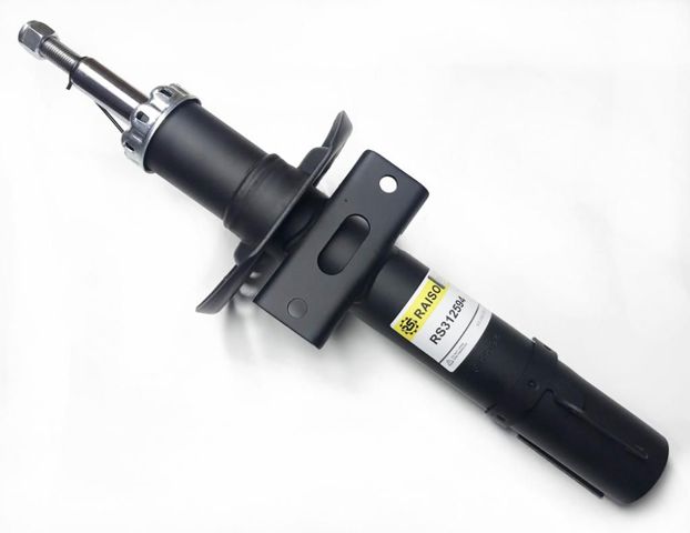 Amortyzator przedni Raiso RS312594 cena, od 50,06 USD