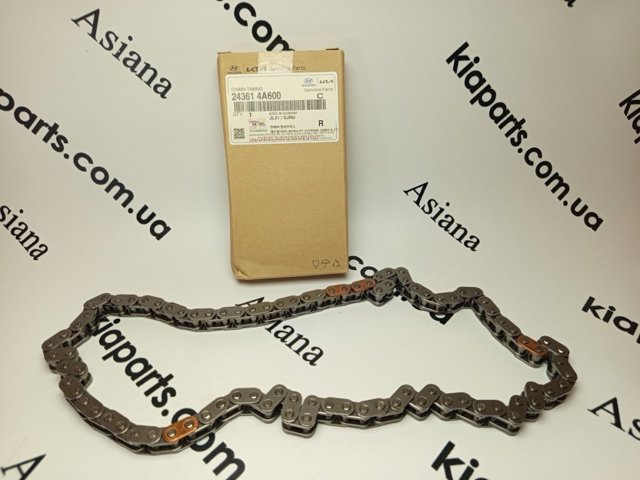 243614A600 Hyundai/Kia Łańcuch rozrządu