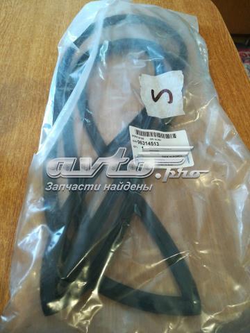 Listwa ochronna szyby przedniej Daewoo Matiz hatchback (KLYA) (1998 - 2008) cena, od 19,40 USD