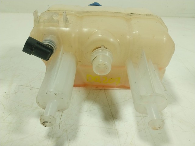 1674057680 Peugeot/Citroen Zbiorniczek wyrównawczy układu chłodzenia