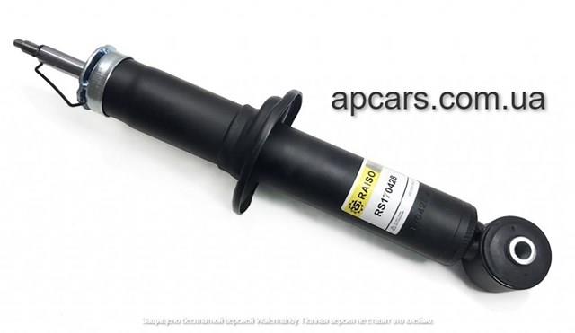 Amortyzator tylny Raiso RS170428 cena, od 45,88 USD