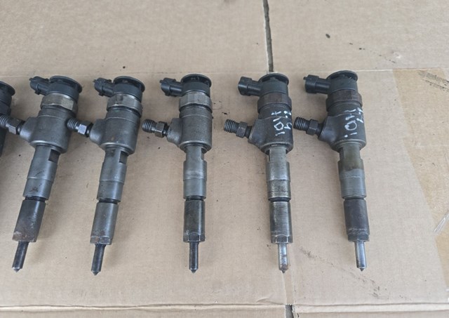 0445110135 Peugeot/Citroen Wtryskiwacz paliwa