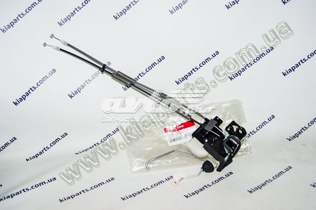  Hyundai/Kia 813101Y030