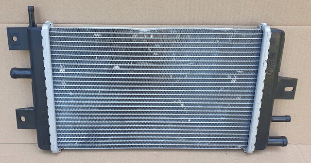 Do koszyka 214109411R Renault (RVI) 