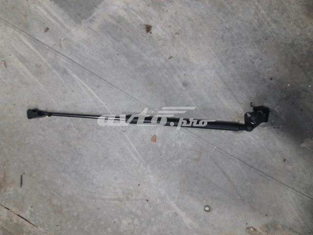  FPS FP8157290