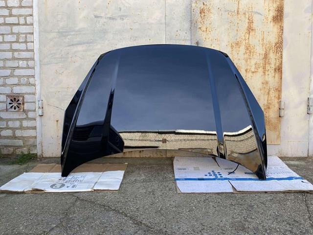 Do koszyka LV4B816612AE Ford Maska silnika