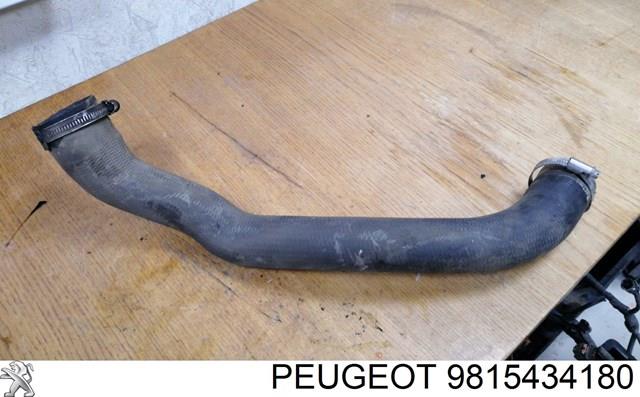Przewód (króciec) intercoolera Peugeot/Citroen 9815434180 cena, od 80,02 USD
