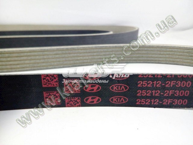 252122F300 Hyundai/Kia Pas napędowy mechanizmów