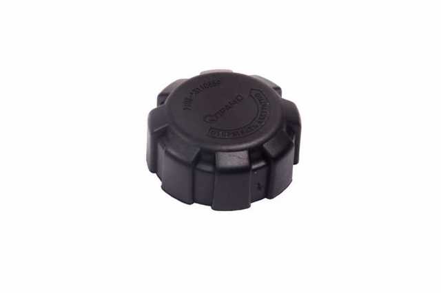 210801311065 DK Pokrywa (korek) zbiornika wyrównawczego