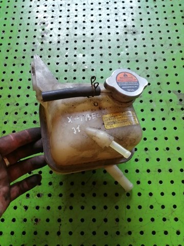  Zbiorniczek wyrównawczy układu chłodzenia Renault Koleos 