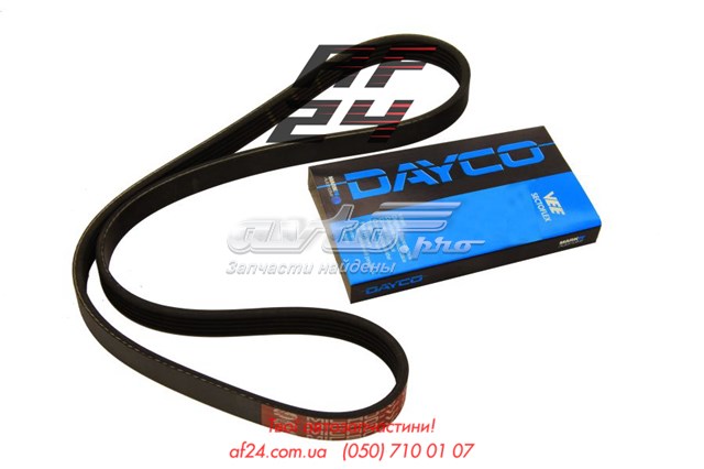Pas napędowy mechanizmów 5PK650 Dayco
