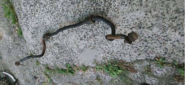 Stabilizator przedni Ford Focus I kombi (DNW) (1999 - 2004) cena, od 128,76 USD