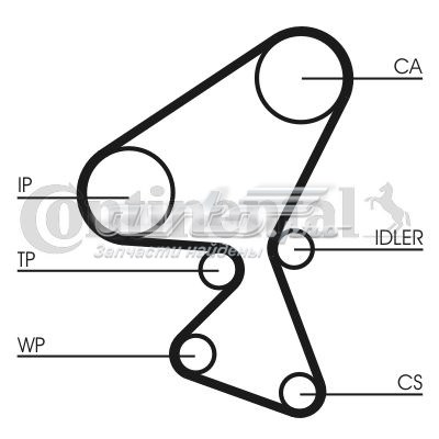 CT1063WP2 Continental/Siemens pasek rozrządu, zestaw