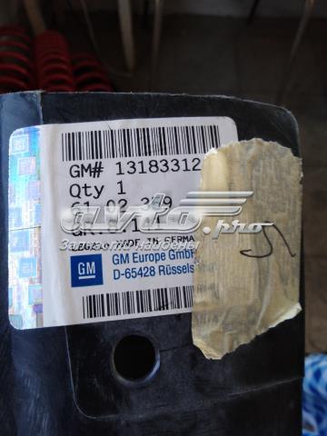 Nadkole błotnika przedniego prawe 13183312 General Motors