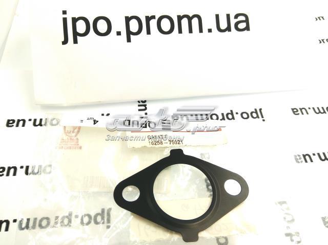 1625875021 Toyota Uszczelka termostatu