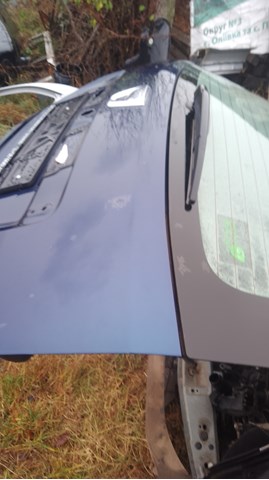 Drzwi tylne (bagażnika 3/5) Renault (RVI) 901003901R