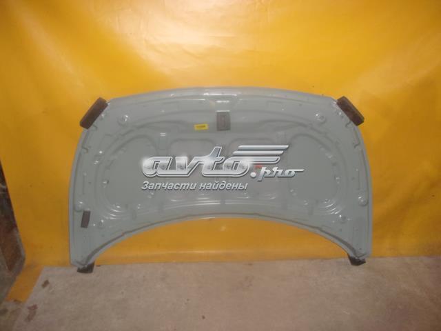 664001R100 Hyundai/Kia Maska silnika