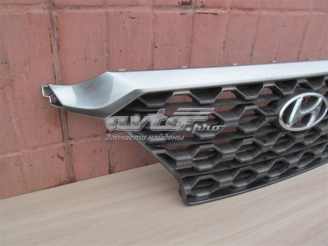 Atrapa chłodnicy Hyundai Santa Fe IV SUV (TM, TMA) (2018 - 2023) cena, od 505,14 USD