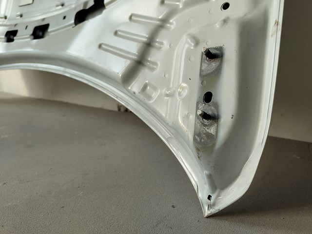 Do koszyka 51984308 Fiat/Alfa/Lancia Maska silnika