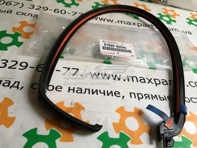6789660040 Toyota Uszczelka drzwi tylnych lewych (na drzwiach)
