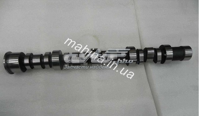  BYD 1023784500