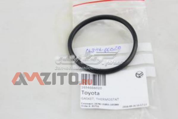 Do koszyka 1634666020 Toyota Uszczelka termostatu