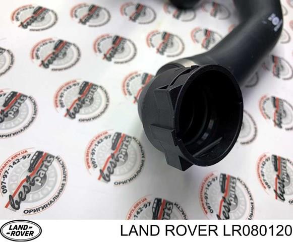 Do koszyka LR080120 Land Rover Przewód (króciec) chłodnicy dolny