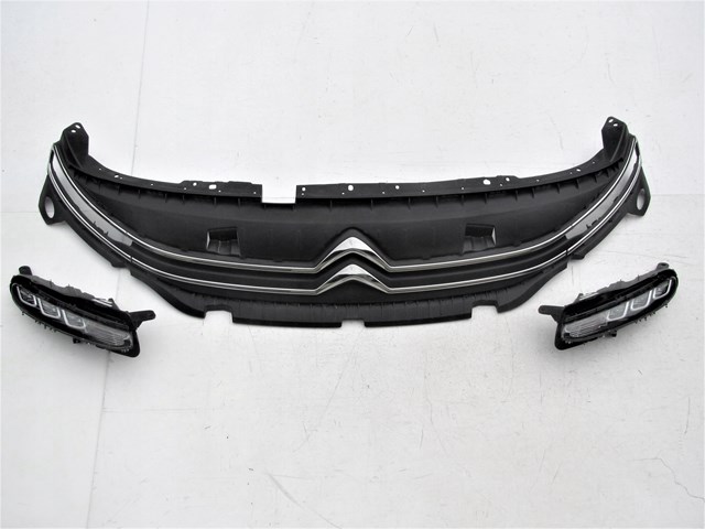 Atrapa chłodnicy 9816749780 Peugeot/Citroen