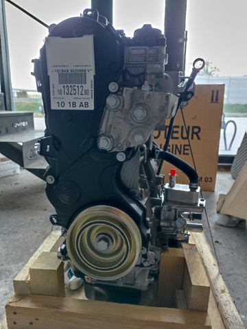  1613251380 Peugeot/Citroen
