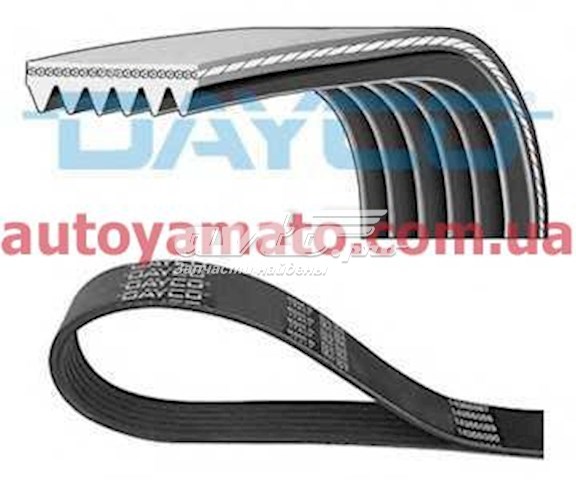 6PK2565 Dayco pas napędowy mechanizmów