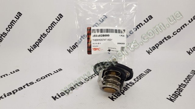 255002GGA0 Hyundai/Kia termostat