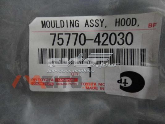 7577042030 Toyota Listwa ochronna maski