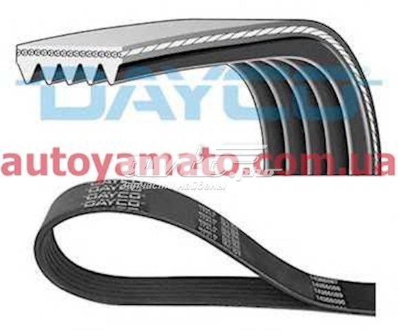 5PK950 Dayco pas napędowy mechanizmów