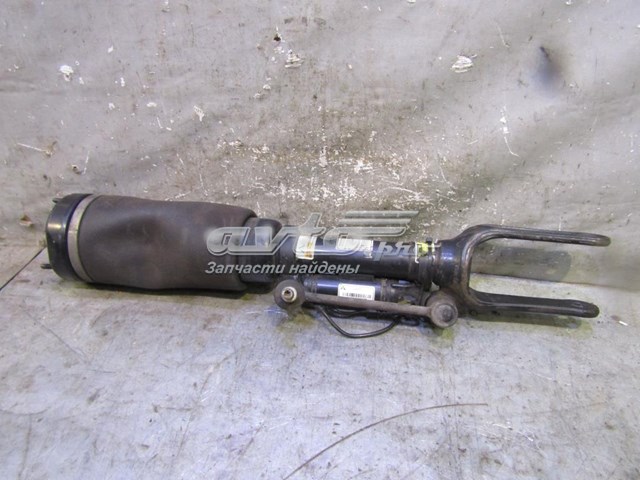 Amortyzator przedni A2513203113 Mercedes