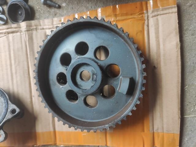 55566013 General Motors Koło zębatewalcowe wałka rozrządu silnika