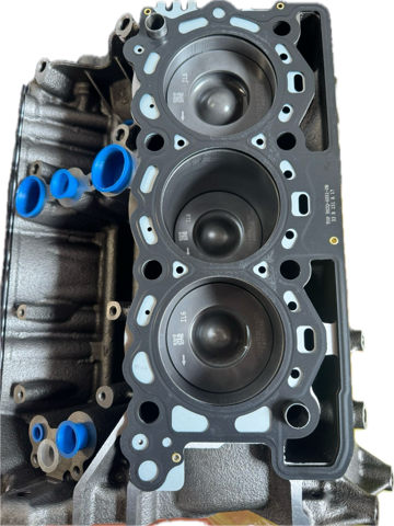  Silnik w komplecie Land Rover Range Rover 