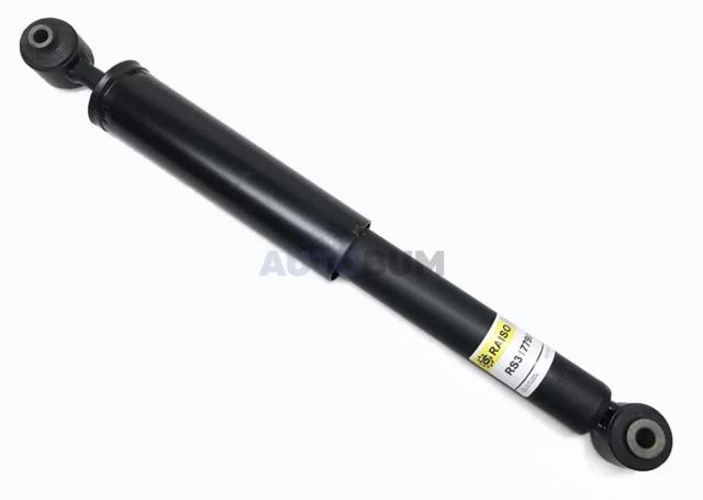 Amortyzator tylny RS317790 Raiso