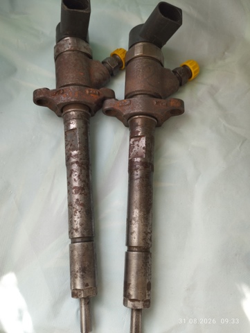 Do koszyka 0445110295 Bosch Wtryskiwacz paliwa