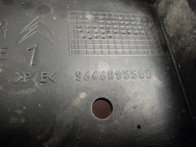  9646895580 Peugeot/Citroen