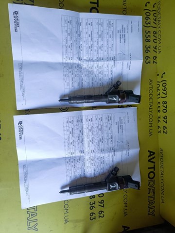 Wtryskiwacz paliwa Renault (RVI) 0445110146