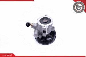Pompa wspomagania hydraulicznego kierownicy Polcar S5023008 cena, od 117,06 USD